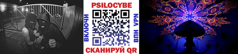 закладка  Алексин  Галлюциногенные грибы Magic Shrooms 