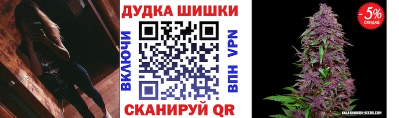 Бошки Шишки планчик  где найти   Алексин 